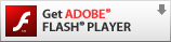 Get Adobe Flash player